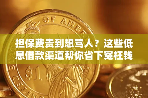 济南担保费贵到想骂人？这些低息借款渠道帮你省下冤枉钱