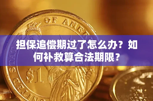 济南担保追偿期过了怎么办？如何补救算合法期限？